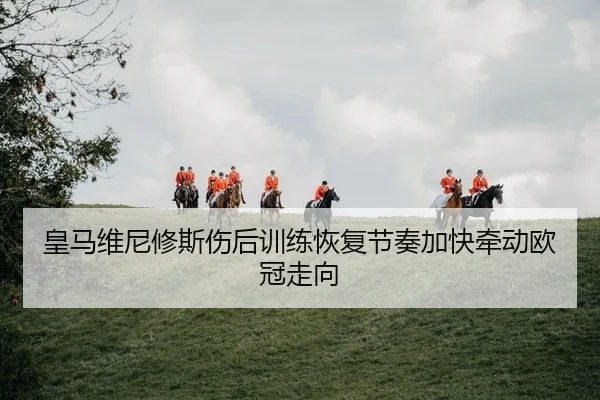 皇马维尼修斯伤后训练恢复节奏加快牵动欧冠走向